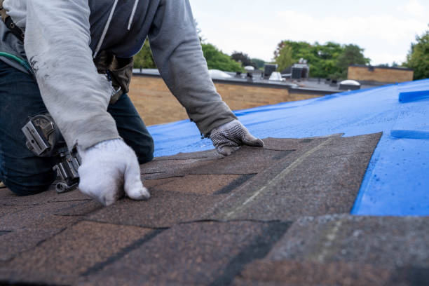 Roof Repair Estimates in Arcadia, CA